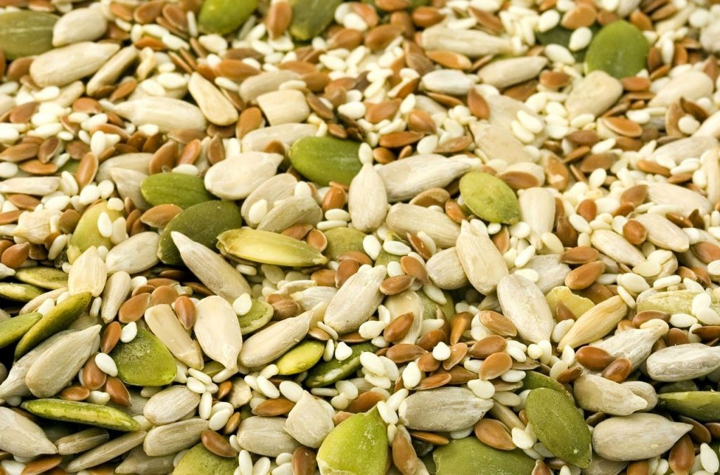 organic protein