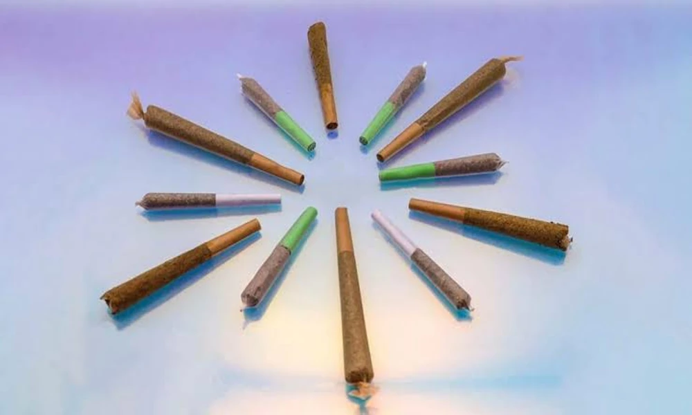 How do hemp pre rolls online perform across popular strain types?