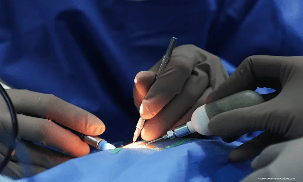 The Importance Of Surgical Safety Protocols In Veterinary Clinics