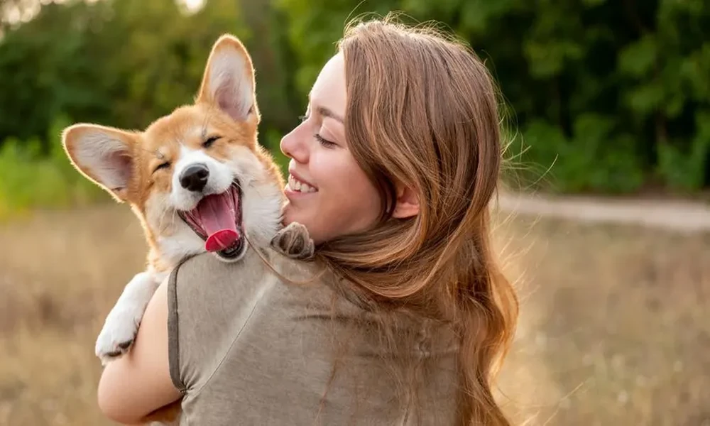 6 Ways to Help Your Cat Handle Vet Visits With Less Stress