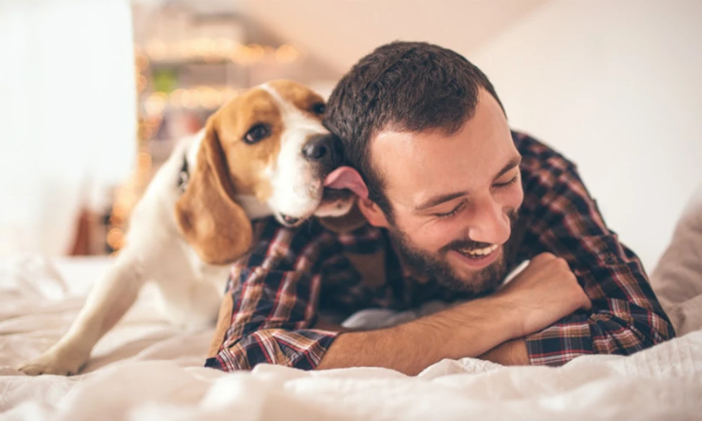 The Importance Of Advanced Imaging In Animal Hospitals